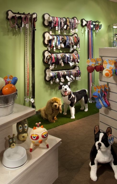 veterinary retail area inspiration